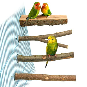 4_Zbg  ~܂ ~܂ ܂𖁂񂲂̖ R ނ ܂ p[` CR IE   ZLZCCR IJCR ₷݃{[h Vѓ P[WANZ