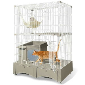 yzACXvU gČ^LbgP[W2i O[ 2iO[(XRbvEnbNt)