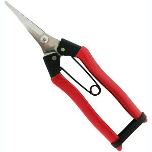 �y�労�ӍՌ���|�C���g5�{+�N�[�|�����p��5%OFF�z�y���������z�ߗ^(KONYO) �i�g �X�e���E���� 185mm