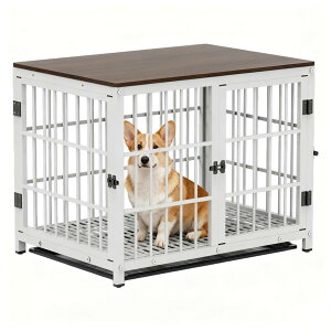 yzBingoPaw  P[W t ybgP[W ^    ؐ A\ M zCg