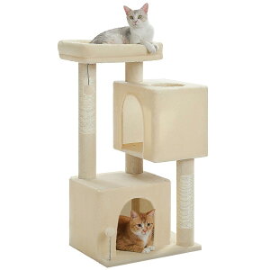 PAWZ Road Lbg^[ ^Lp Ⴂ  X L^[ ܌ RpNg ܂Ƃ|[ LnEX2 u  VjAL VL qL o₷ VRTCU t 