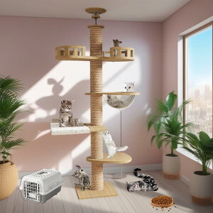 Mekidulu Lbg^[ ˂ ؐ ^L RbgR X ؓo  Lbgc[ VjA u 11cmx L^[ ^ LLbg^[  RpNg ȃXx