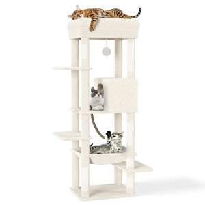 CozyMeow Lbg^[ X u nbN LbgnEX ^Lp ߂Ƃ L LbgEH[N ܂Ƃ  lC L^[ LbgXebv  킢 ˂ L