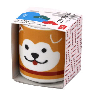 yzV| t / H ̂Ђ뉀 ܂ߖ~ ~̓Lbg ~j ͔|Lbg Ă ԏ ȒP ͔|Zbg ( R ) ̌a4cm ł傱 n`  ̓ v