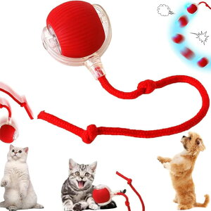 【送料無料】猫用ボールおもちゃ 自動 猫玩具 電動 ボール 1個入り USB 充電付き自動 360度回転ローリングボール 運動不足とストレス解消 ロングテールティーザー付きで全床対応