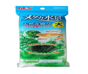 yzWFbNX GEX _JC _Ji VRY 