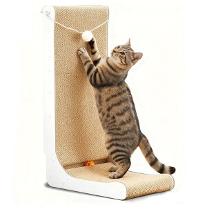 yN[|p5%OFFzyzGimars Lp܂Ƃ 68cm L^ i{[ \ L ߂Ƃ ܌ @\ V bNX Q]ёΉ Lbg{[ ʂݕt 