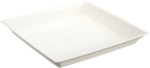 yC[OXӍՁ@|Cg2{zyN[|p3%OFFzyzaika(ACJ) g[XNGAM 8 zCg