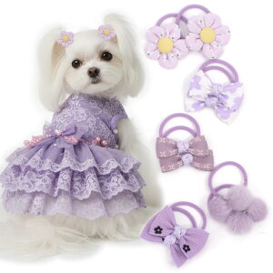 yzBIANHUAN LbY wAS Ԃ xr[ ̎q { S ANZT[ 10{Zbg wAANZT[ q c xr[wAS ̎q 킢   ܂Ƃߔ 