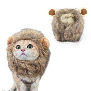 yzAmzbarley LXq EBbO CIɕϐg t  LpXq 蕨   蕨 CIĂ݂  Lp RXvLbv ϐg ybgpi nEB