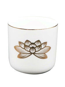 ̃}GX(Maruesu)  nX 1.6 d 5.4×5cm