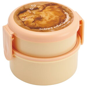 yzXP[^[(Skater) ٓ R 2i `{bNX tH[Nt ی^ ɂ P[X 500ml { WΉ YƂȂ ONWR1AG-A