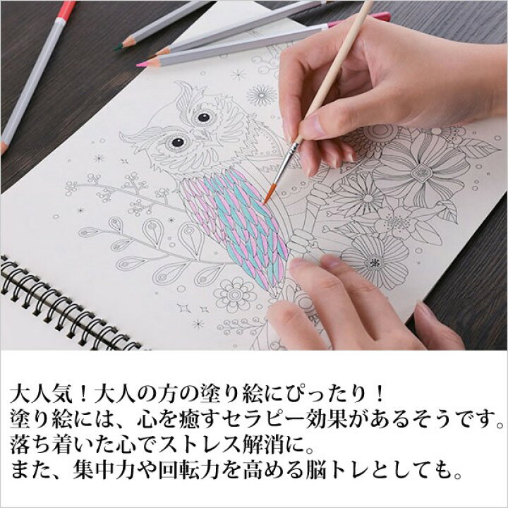 楽天市場 色鉛筆 彩色鉛筆 48色 筆付属 水彩 水彩画 色鉛筆 セット 塗り絵 ぬりえ お絵かき アート デザイン 設計 スケッチ 創作 学習 彩色 ショップワールド