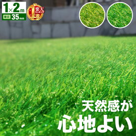 楽天市場 人工芝 スポーツ アウトドア の通販