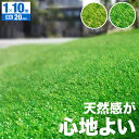 人工芝 ロール 1m×10m 芝丈20mm 送料無料 固定ピン 22本付き 芝生マット 人工芝ロール 芝生ロール 芝ロール マット ベランダ バルコニー 芝生マ...