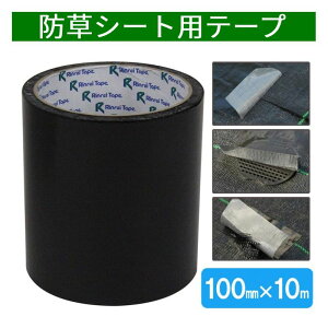 z10OFF25()}f y1998~`z hV[g e[v ڑe[v C 10m 100mm 10cm h V[g V[g hV[gp T ڑ {H Œp Жʃe[v K[fjO K[