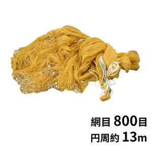 蓊   C    d|   800 ~13m c2cm  l     t tBbVO X|[c lbg ނlbg 蓊 ނ LXglbg  