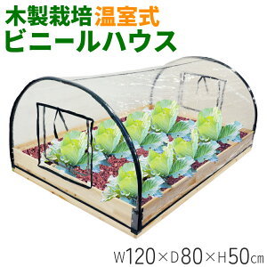 y z  10It z417`撅 rj[nEX rj[ rj[  c   ۉ _J g[ rj[ ؐ ͔| Ch ƒp t[ K[fnE