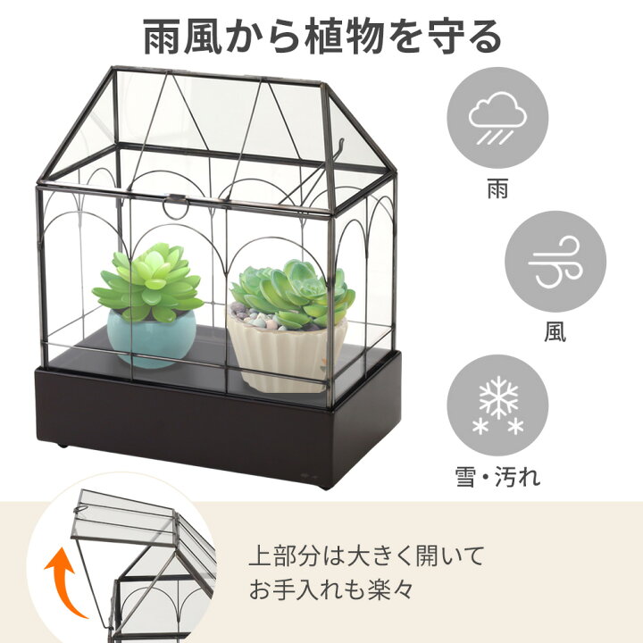 楽天市場】【 半額＋500円オフ☆14日 20時〜先着 】 温室 ガラス 小型  