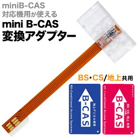 半額&200円OFF≪10(火)23:59迄≫ mini B-CAS 変換アダプター 地デジ 地上デジタル テレビ TV 地上波デジタルチューナー レコーダー 対応 ワンセグ B-CASカード フルセグ 放送 簡単 スリム 送料無料