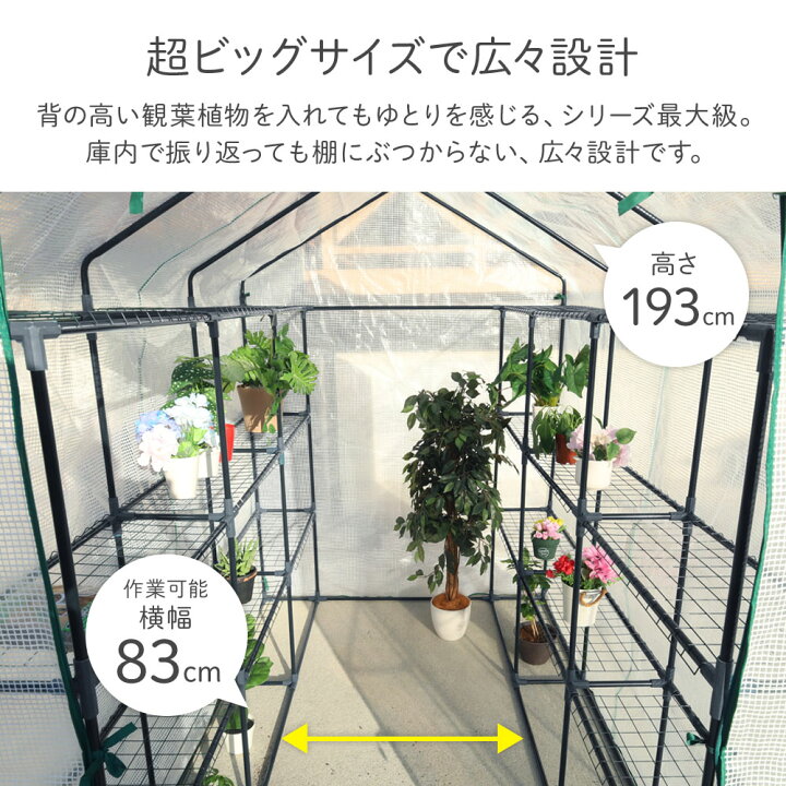 楽天市場】【 両側棚付き 大型 】温室 ビニール温室 ビニールハウス 