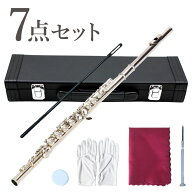 フルート ケース セット 初心者 お手入れセット Cキー 白銅製 入門セット 16穴 初めて 練習 白銅 学生 管…