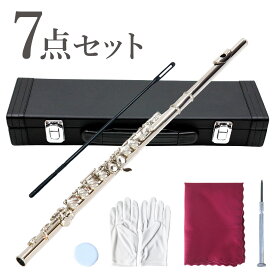 半 額 & 5％OFF 8(日)朝8時～ フルート ケース セット 初心者 お手入れセット Cキー 白銅製 入門セット 16穴 初めて 練習 白銅 学生 管楽器 吹奏楽 音楽 楽器 中学生 高校生 大学生 入門 プレゼント ギフト クリスマス 子ども 大人 こども 子供 ニッケル 銅 ニッケル銅木管