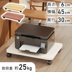 v^[ LX^[t  Xgbp[t v^[bN v^ pbg  ω׏d 25kg 45 ~j RpNg fXN[ Rs[@ L[ v^[u