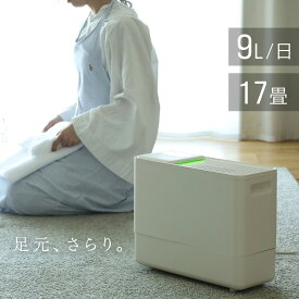 除湿機 コンプレッサー式 強力 クリームベージュ 最大17畳 9L/日 湿度調整機能 衣類乾燥除湿機 パワフル 部屋干し 省エネ 静音 除湿器 タイマー付き 室内干し コンパクト 大容量
