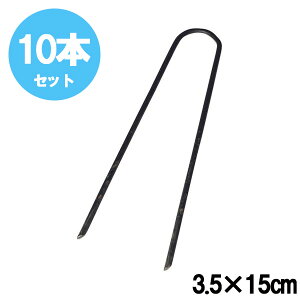 y z + 10OFF10` z us hV[g lH U^s 3.5X15cm 10{Zbg hV[gp lHŗp R̎ Us s UB Y Œs GV[g V[g ZteB|3 R̎s