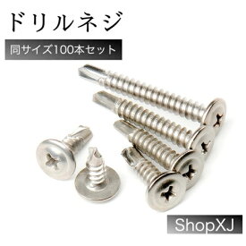 【4.8*13】ドリルネジ 100本入り ドリルビス シンワッシャー ドリル ねじ ステンレス ホワイト ShopXJ