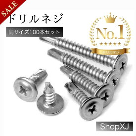 【スーパーSALE】#DIV/0!%OFF & P5倍! 【ランキング6冠達成】ドリルネジ 同サイズ100本入り ドリルビス シンワッシャー ドリル ねじ ステンレス ホワイト M4.2 ShopXJ