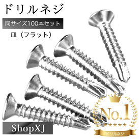 【ランキング4冠達成】ドリルネジ ドリルビス シンワッシャー ドリル ねじ 皿 サラ（フラット）ステンレス ホワイト M4.2 同サイズ100本入り ShopXJ 送料無料