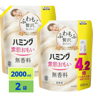 n~O f _ ӂґȔEn~ONo.1̂炩 f  lւp 2000ml×2