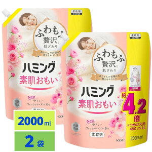 n~O f _ ӂґȔEn~ONo.1̂炩 f tbV[Y̍ lւp 2000ml×2