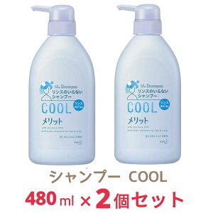 Merit �����b�g �����X�̂���Ȃ��V�����v�[ �N�[���^�C�v �|���v 480ml x2�� ��򕔊O�i