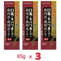 楽天市場】湧命力 歯磨き粉の通販