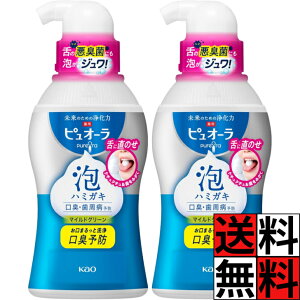 ピュオーラ 泡 歯磨き ハミガキ マイルドタイプ 口臭 歯周病 予防 研磨剤 無配合 舌 歯肉炎 歯周炎 ブラッシング マイルドグリーン 190ml ×2個