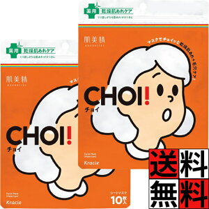  CHOI }XN p  r XLPA tFCXpbN V[gpbN V[g}XN ь   p Z L ێ 10 ×2