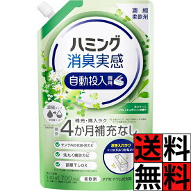 ハミング 消臭実感 自動投入 詰め替え 柔軟剤 洗濯 補充 購入 お手入れ ラク 濃縮 液体 部屋干し カビ タテ型 ドラム式 キレイ 清潔 リフレッシュグリーンの香り 700ml