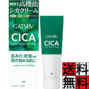 VJN[ \  eJ h~ fB[vfBN[ j Y  { VJ z  ێ XLPA WF N[ GATSBY Mcr[ CICA 55g