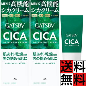 VJN[ \  eJ h~ fB[vfBN[ j Y  { VJ z  ێ XLPA WF N[ GATSBY Mcr[ CICA 55g ×2