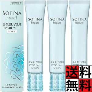 \tB[i{[e ێUVt SPF30 PA++++ Ƃ   邨 x n ݂݂ O   XLPA 30g ×3