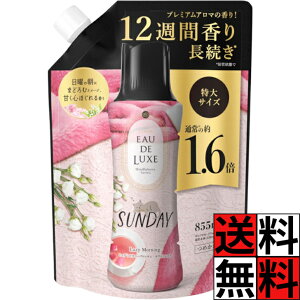 レノアオードリュクス ビーズ マインドフルネスシリーズ サンデー 詰め替え 香り付け専用 アロマ 長続き 甘く 洗濯 縦型 ドラム式 洗剤 柔軟剤 一緒に 洋服 タオル 特大 大容量 1.6倍 Lenor 855ml