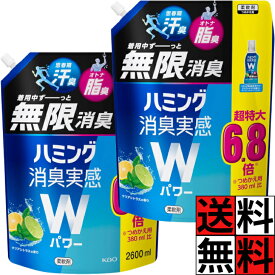 ハミング 消臭実感 Wパワー 柔軟剤 詰め替え 大容量 特大 部屋干し 花粉 洗濯 爽やか 清潔感 液体 汗 脂 大人 思春期 加齢臭 ワキ 体臭 花王 ブルー 青 クリアシトラス 香り 2600ml ×2個