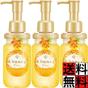 Ahnj[ wAIC { t[ g[gg X^CO wAPA ݂͂ ̖ ێ ی T  I[KjbN e  3.0 &honey 100ml ×3