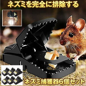 yS苭́z ˂݋쏜 lY~߂ 6Zbg ˂ݎ ˂ݑގ ߊl lY~ ȒP Qb 쏜  ߊl }EX gbv Lb`  ƒ؉ ȒPg ˂  6-NEZT