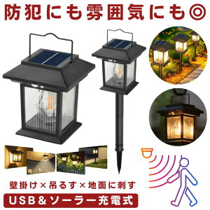 �y �f�� × �h�� �z �\�[���[���C�g ���O �h�� �Z���T�[���C�g �K�[�f�����C�g �\�[���[ USB TYPE-C �[�d �l���Z���T�[ �g�F�n �d���F ���ߍ��� �Ǌ|�� �݂艺�� 3WAY �E�H�[�����C�g �\�[���[����