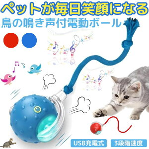 yœz lR L  d   {[  lV  t   USB[d ybg _CGbg ^s  LEDCgt Kt  Ђ Type-