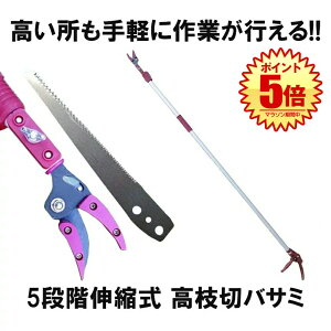 }؃oT~ 5iKLk pmRMn y  ʎ ̎ } K[fjO  }؂ RZ-TAKAEDA